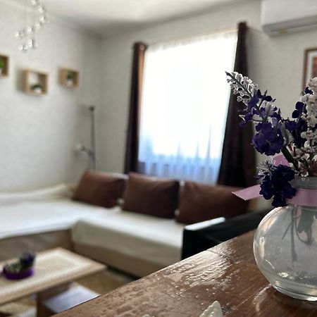 Balatonföldvár Levendula Vendeghaz 빌라 외부 사진